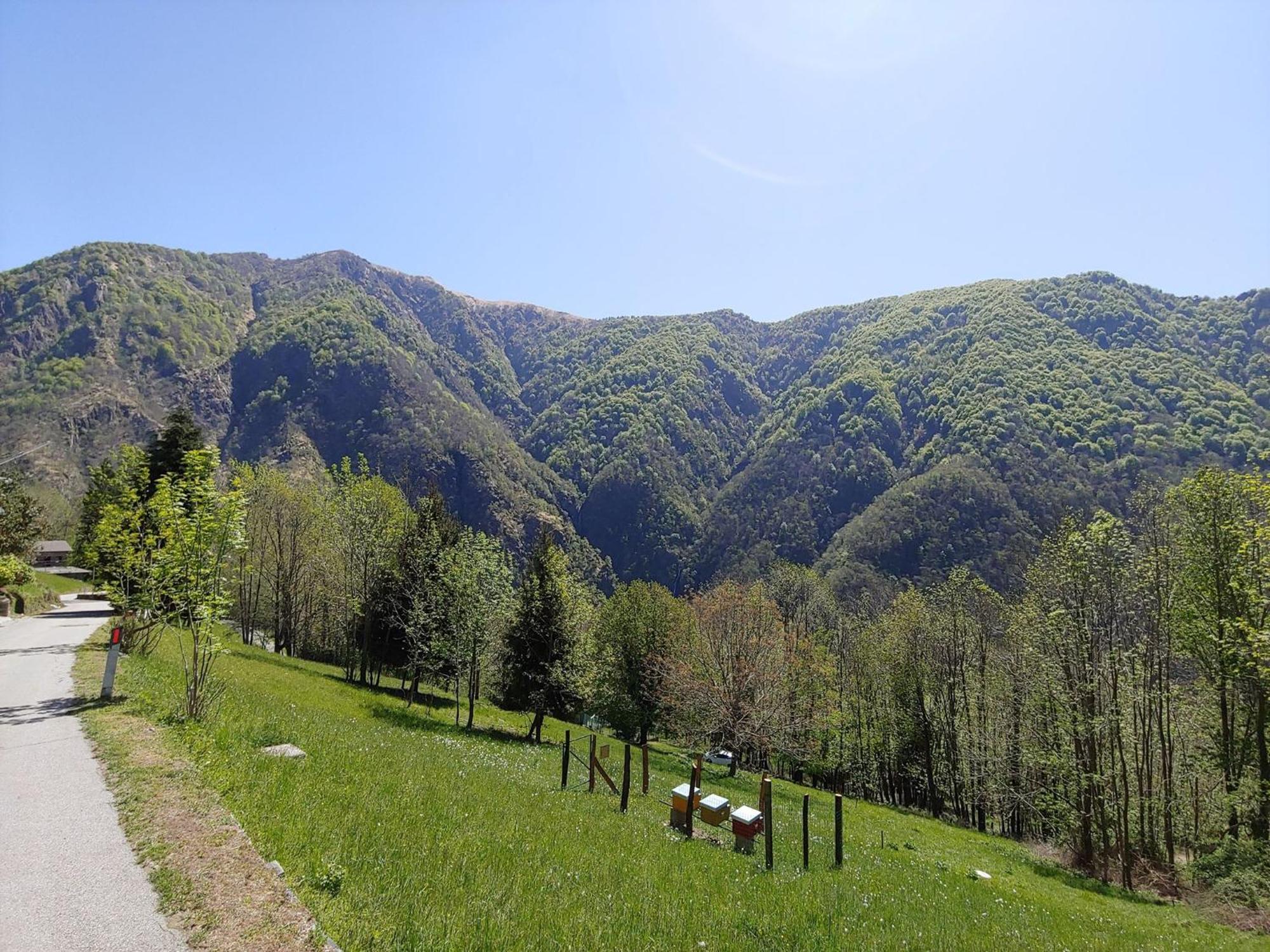 Hostel Valgrande Cicogna