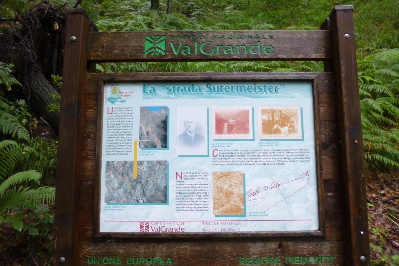 Auberge de jeunesse Valgrande *